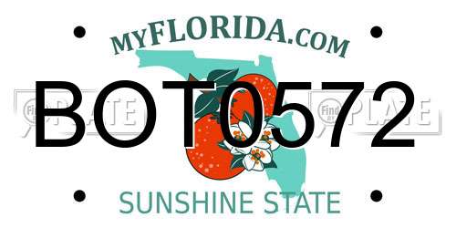 BOT0572 Florida License Plate