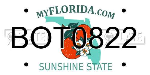 BOT0822 Florida License Plate