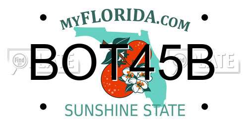 BOT45B Florida License Plate