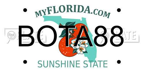 BOTA88 Florida License Plate