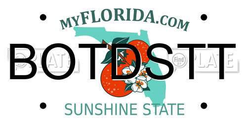 BOTDSTT Florida License Plate