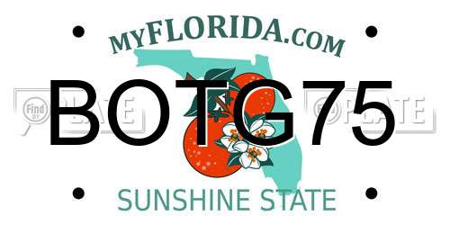 BOTG75 Florida License Plate