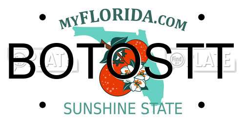 BOTOSTT Florida License Plate