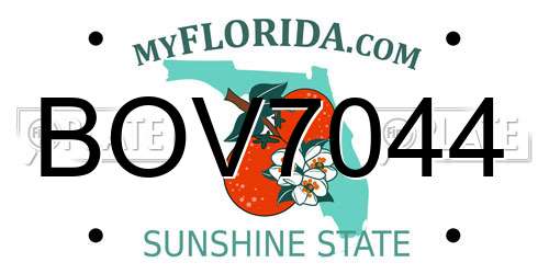 BOV7044 Florida License Plate
