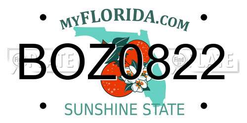 BOZ0822 Florida License Plate