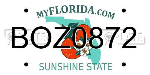 BOZ0872 Florida License Plate