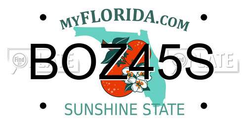 BOZ45S Florida License Plate