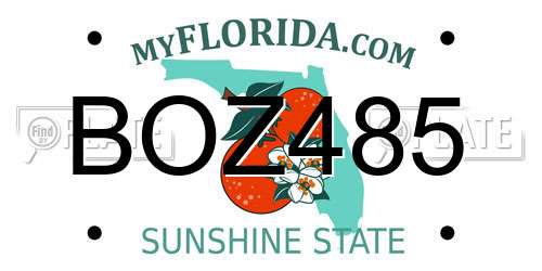 BOZ485 Florida License Plate