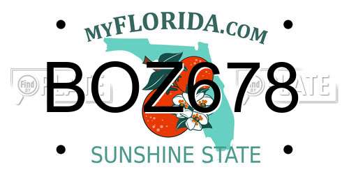 BOZ678 Florida License Plate