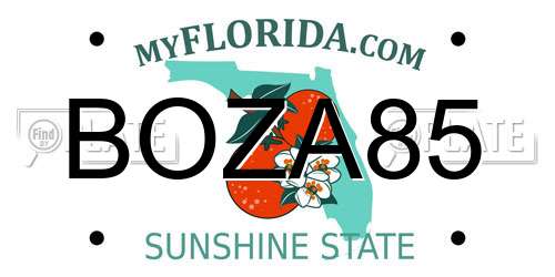 BOZA85 Florida License Plate