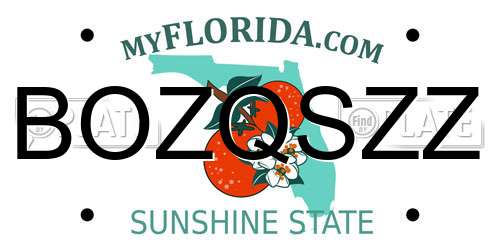 BOZQSZZ Florida License Plate
