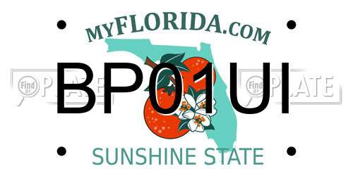 BP01UI Florida License Plate