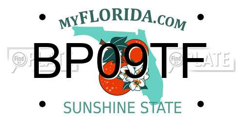 BP09TF Florida License Plate