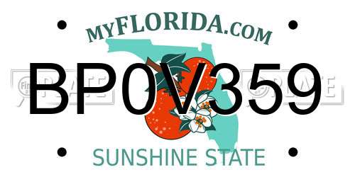 BP0V359 Florida License Plate