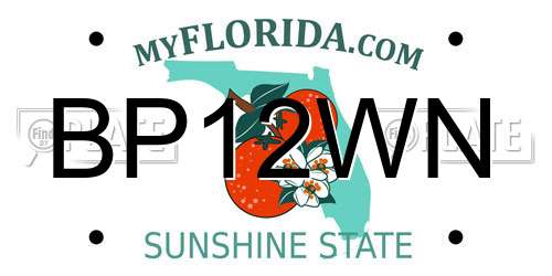 BP12WN Florida License Plate