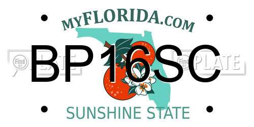 BP16SC Florida License Plate