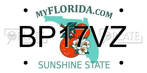 BP17VZ Florida License Plate
