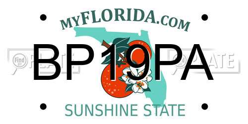BP19PA Florida License Plate