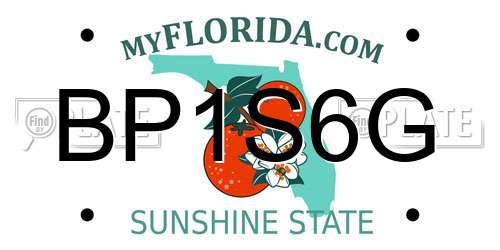 BP1S6G Florida License Plate