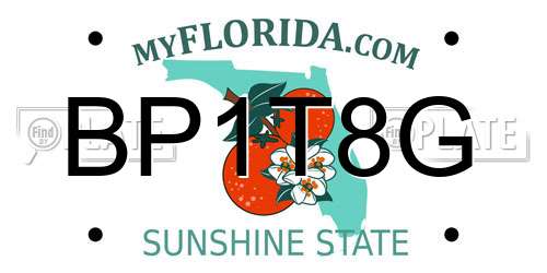 BP1T8G Florida License Plate