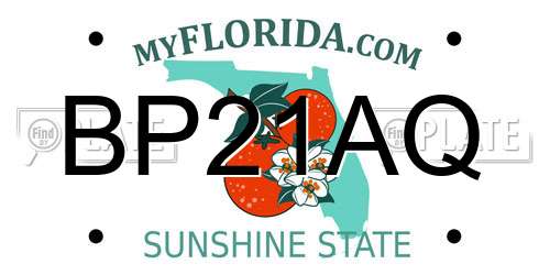 BP21AQ Florida License Plate