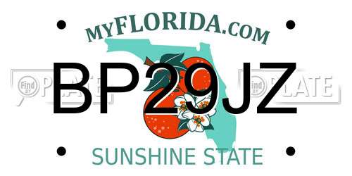 BP29JZ Florida License Plate