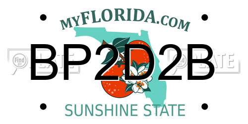 BP2D2B Florida License Plate