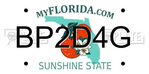 BP2D4G Florida License Plate
