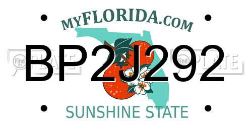 BP2J292 Florida License Plate