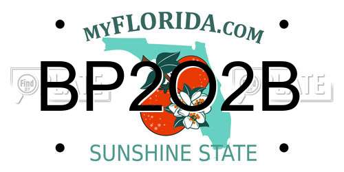BP2O2B Florida License Plate