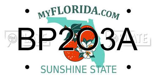 BP2O3A Florida License Plate