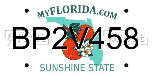 BP2V458 Florida License Plate