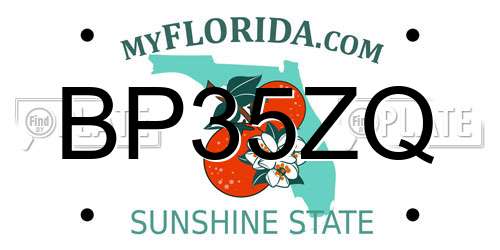 BP35ZQ Florida License Plate