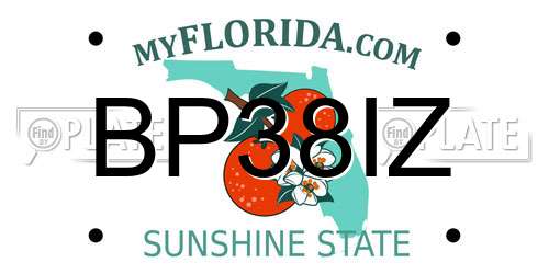 BP38IZ Florida License Plate