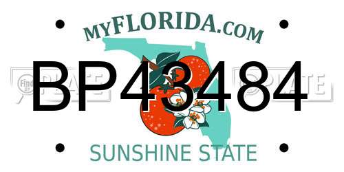 BP43484 Florida License Plate