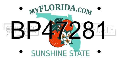 BP47281 Florida License Plate