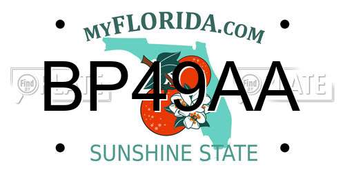 BP49AA Florida License Plate
