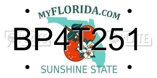 BP4T251 Florida License Plate