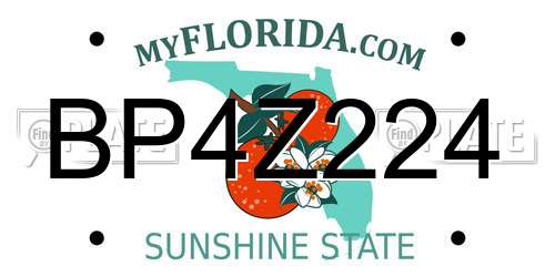 BP4Z224 Florida License Plate