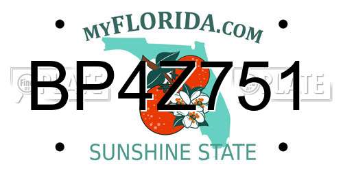 BP4Z751 Florida License Plate