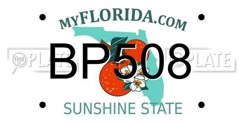 BP508 Florida License Plate