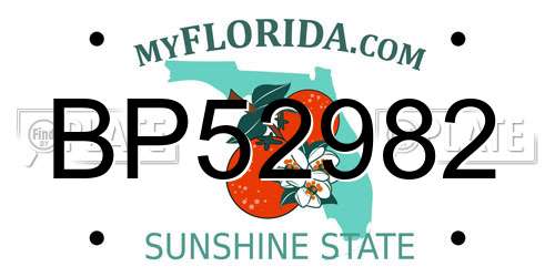 BP52982 Florida License Plate