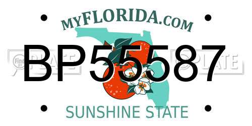 BP55587 Florida License Plate