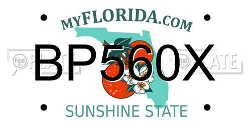 BP560X Florida License Plate
