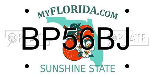 BP56BJ Florida License Plate