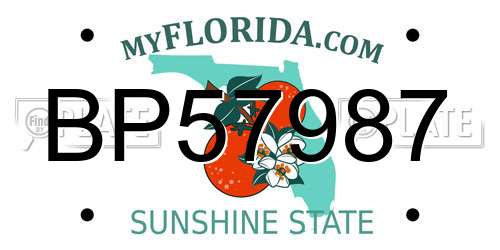 BP57987 Florida License Plate
