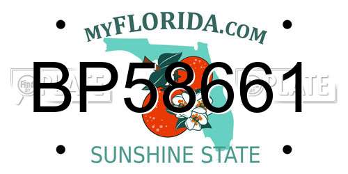 BP58661 Florida License Plate