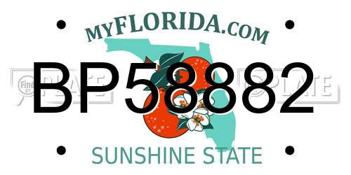 BP58882 Florida License Plate