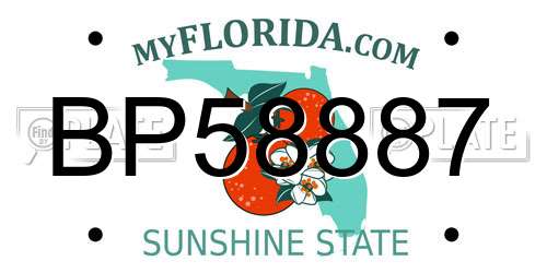 BP58887 Florida License Plate