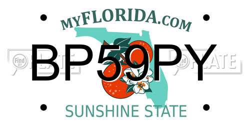 BP59PY Florida License Plate